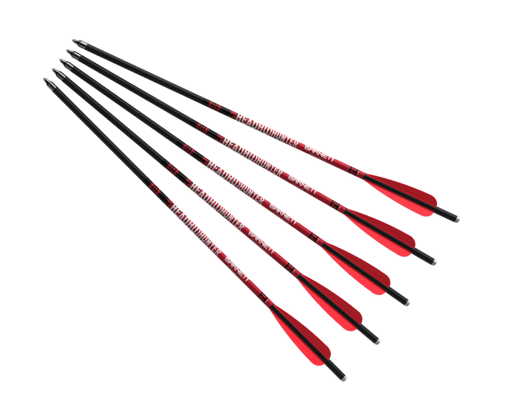 Headhunter™  20" Arrow - 5 Pack