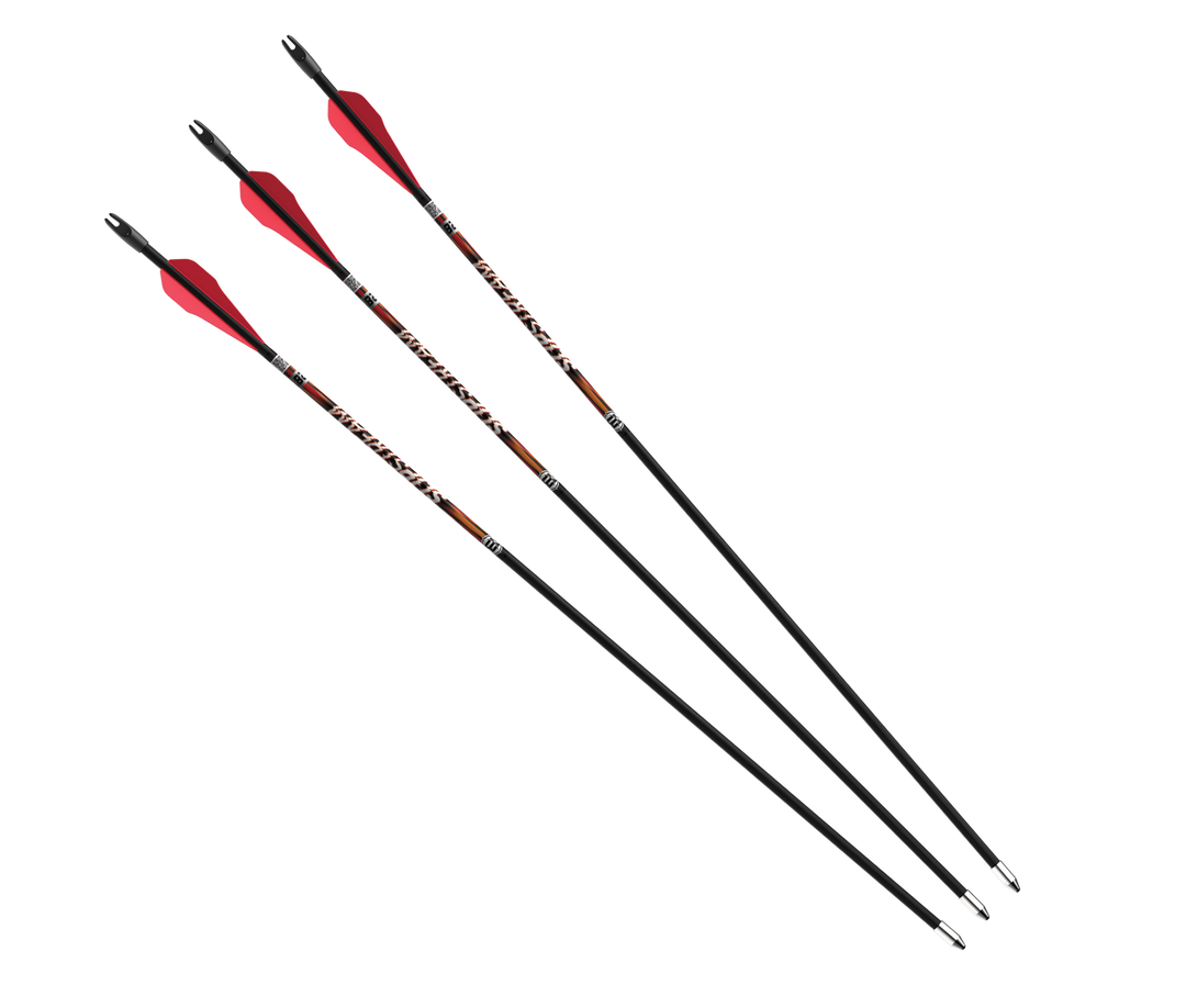 Slipstream Youth Arrows