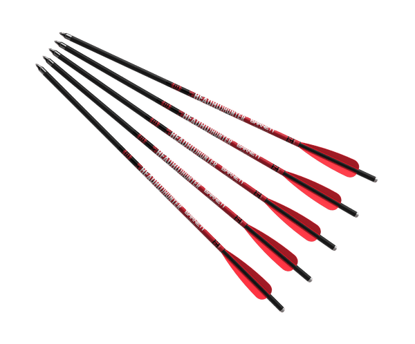 Headhunter™ 20" Arrow - 5 Pack - Barnett Outdoors